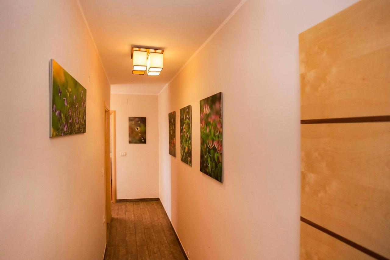 Apartments Romano Ρόβινι Εξωτερικό φωτογραφία